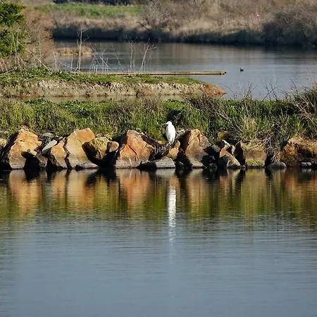 Appartement Pour 6 Sur La Grande Plage, St Gilles