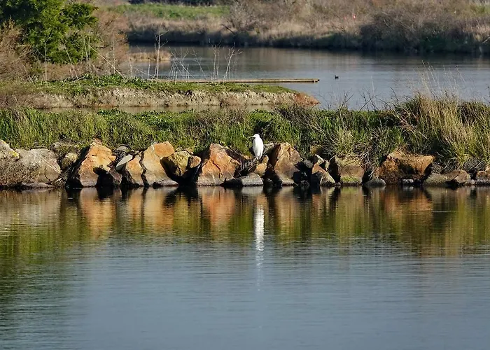 Apartman Pour 6 Sur La Grande Plage, St Gilles